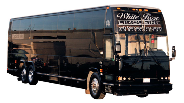 Luxury Party Bus