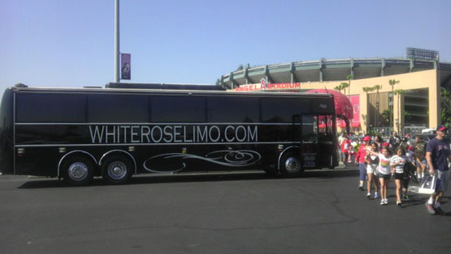 Medium Corporate Charter Bus