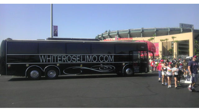 Medium Party Bus